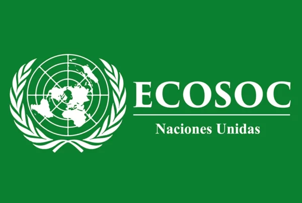 ECOSOC - Noviembre 2023